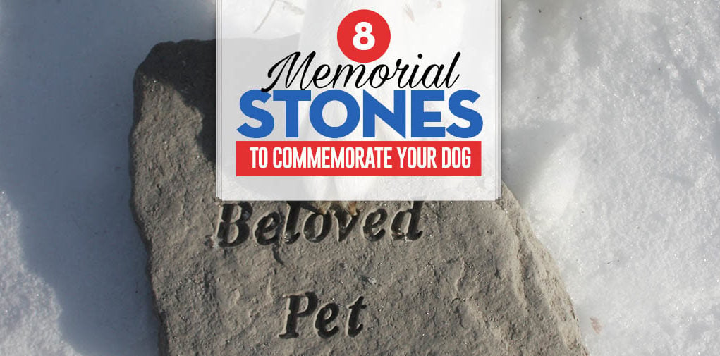 Top 8 Best Pet Memorial Stones to Keep Your Dog's Memory Alive