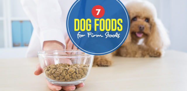 Top Best Dog Food for Firm Stools