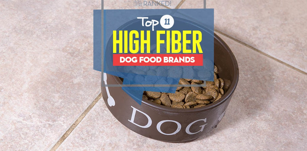 Top Best High Fiber Dog Food Brands