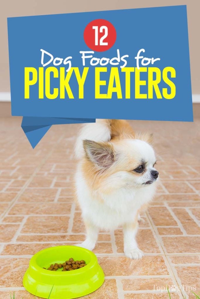 Top Rated Best Dog Food for Picky Eaters