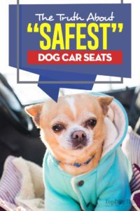 What Is The Truth About the “Safest” Dog Car Seat Choices