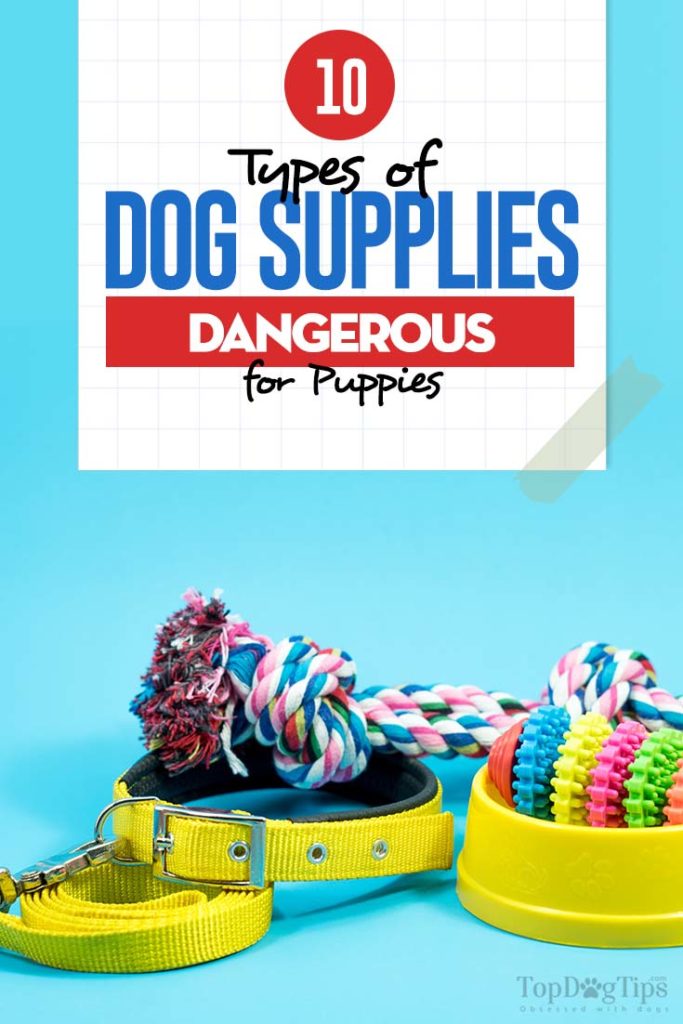 10 Dog Supplies Dangerous for Puppies