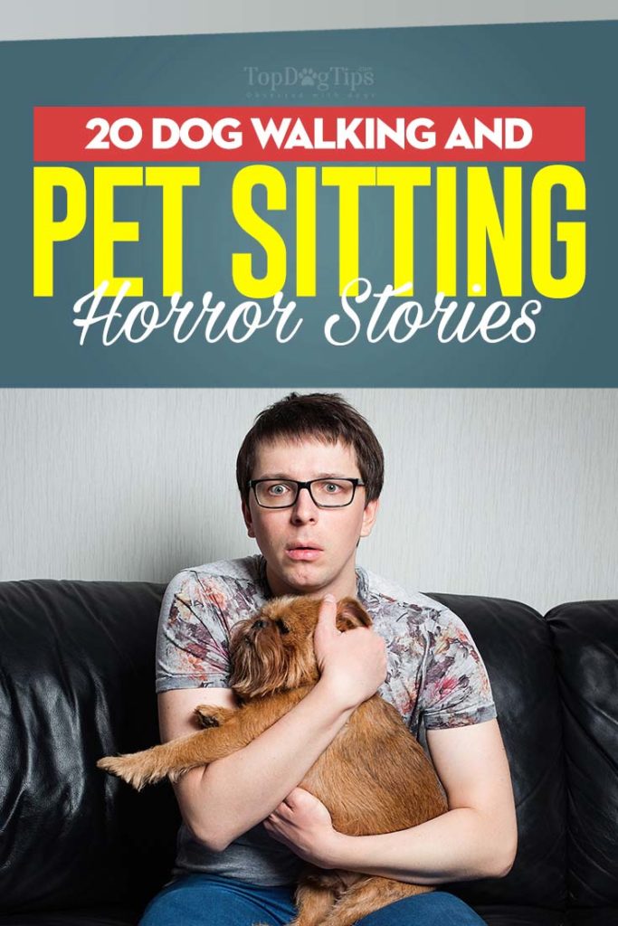 20 Crazy Dog Walking and Sitting Horror Stories