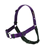 SENSE-ation No-Pull Dog Training Harness