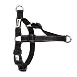 Dexdog EZTrainer No Pull Dog Harness