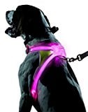 Noxgear LightHound Reflective Harness for Dogs