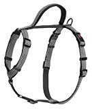 The Company of Animals HALTI Walking Harness