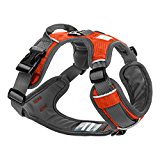 Embark Active Dog Harness