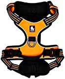 Chai's Choice Best Outdoor Adventure Dog Harness