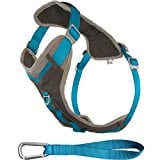 Kurgo Journey Dog Running Harness