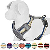 Blueberry Pet 3M Reflective Multi-colored Stripe Dog Harness