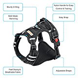 Big Dog No Pull Easy Control Harness