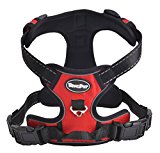 Expawlorer Front Range No-Pull Dog Harness