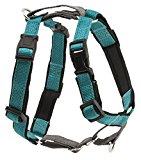 PetSafe 3-in-1 Harness