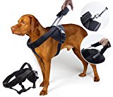 Yogadog Heavy Duty Harness