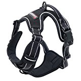 BARKBAY No-Pull Pet Harness Front Range Dog Harness