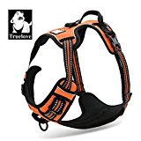 Truelove Comfort Control Dog Harness