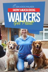 Ask a Dog Walker - How Much Do Dog Walkers Get Paid