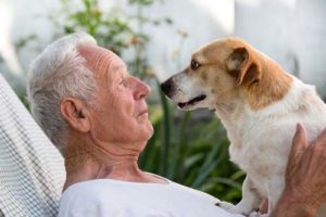 Can Dogs Mirror Human Expressions