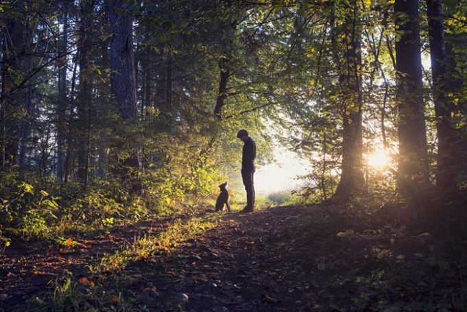 Dogs Are Our Best Friends Because We Share Similar Genes