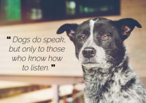 Dogs do speak but only to those who know how to listen