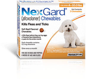 NexGard Flea Pills for Dogs