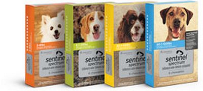 Sentinel Flea Pills for Dogs