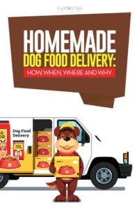 Homemade Dog Food Delivery Services from around the Globe