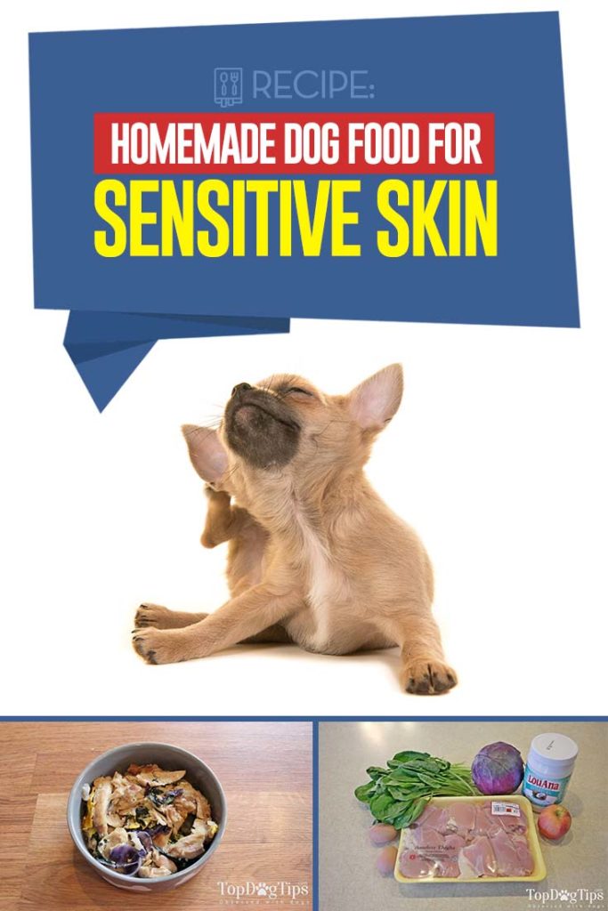 Homemade Dog Food for Sensitive Skin Recipe