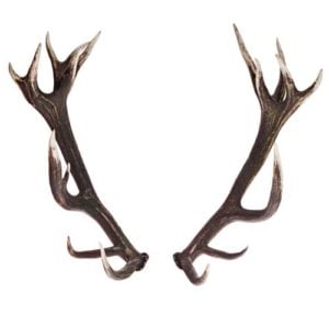 Hunting for these deer antlers