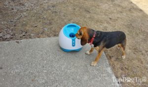 Ifetch Too Interactive Ball Launcher