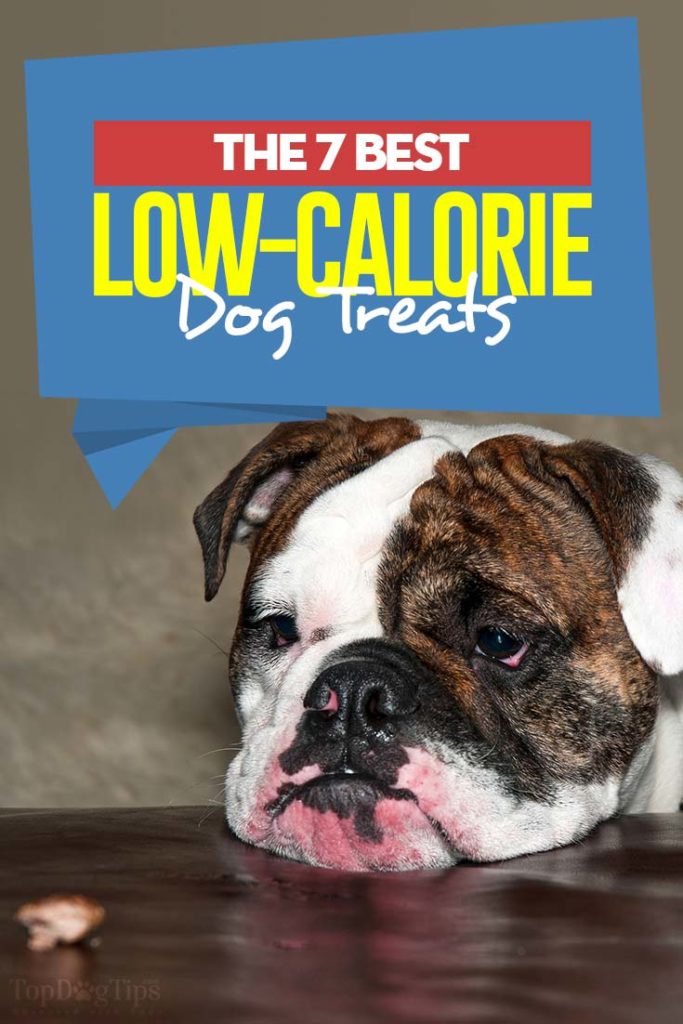 My 7 Favorite Low Calorie Dog Treats