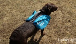 Outward Hound Daypak Dog Backpack