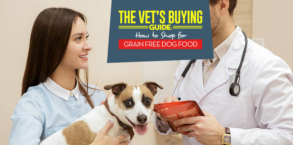 Reasons Why a Grain Free Diet for Dogs May Not Be Right