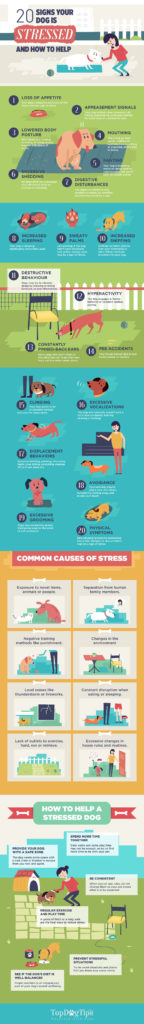 Signs of Stress in Dogs