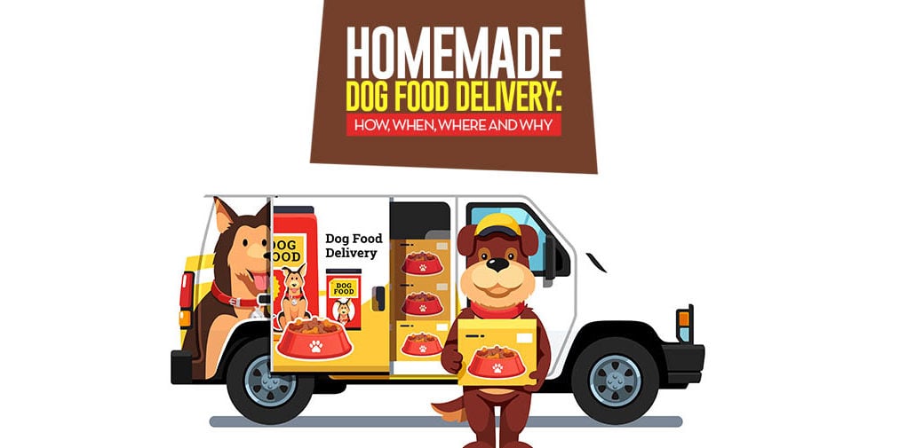 The 10 Best Homemade Dog Food Delivery Services from around the Globe