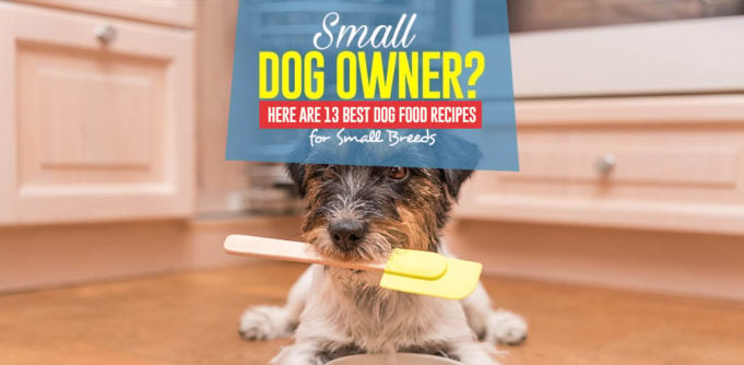 The 13 Homemade Dog Food Recipes for Small Dogs