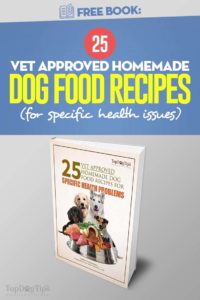 25 Vet Approved Homemade Dog Food Recipes