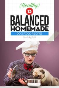 The 30 Best Balanced Homemade Dog Food Recipes