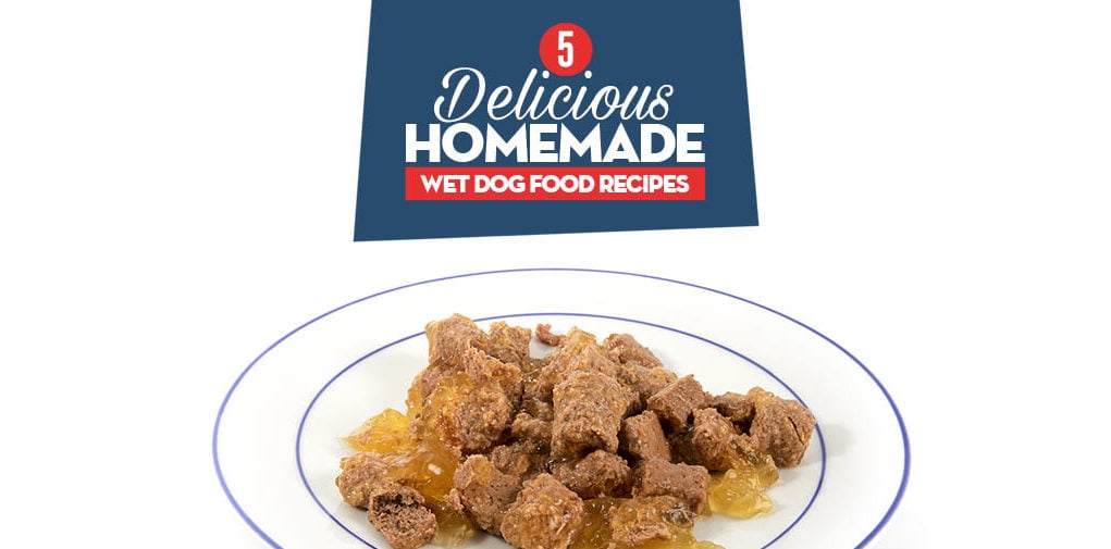 The 5 Best Homemade Wet Dog Food Recipes