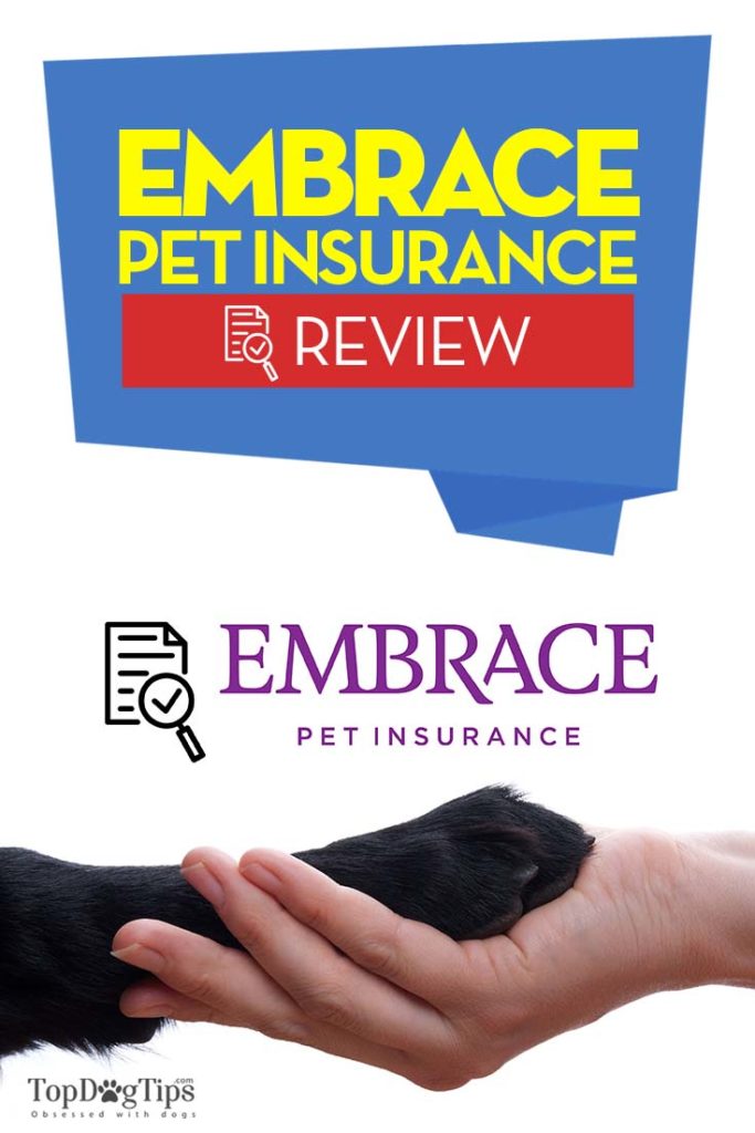 The Embrace Pet Insurance Reviews