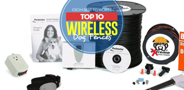 Top 10 Best Wireless Dog Fence Systems of 2018