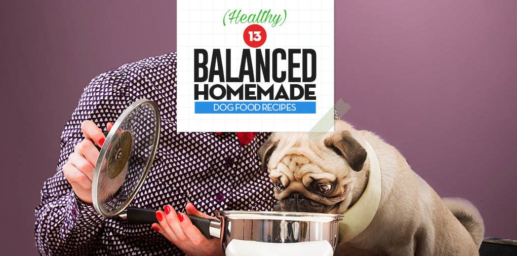 Top 13 Balanced Homemade Dog Food Recipes