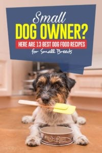 Top 13 Homemade Dog Food Recipes for Small Dogs