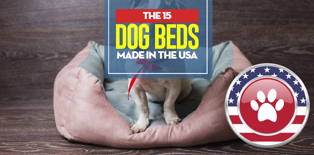 Top 15 Dog Beds Made in USA