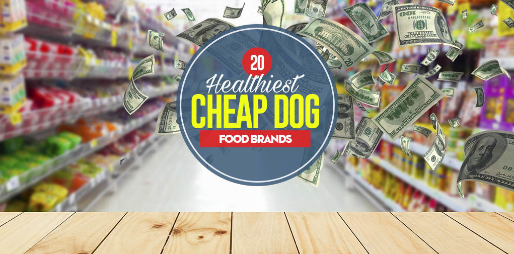 Top 20 Best Cheap Dog Food Brands