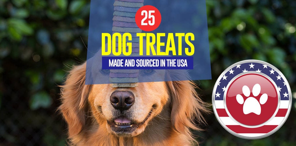 Top 25 Dog Treats Made in USA