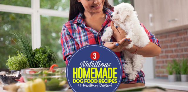 Top 3 Healthy Recipes for Homemade Dog Food (And One Dessert)