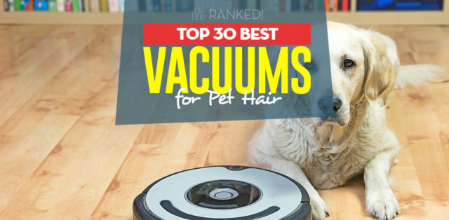 Top 30 Best Vacuum for Dog Hair