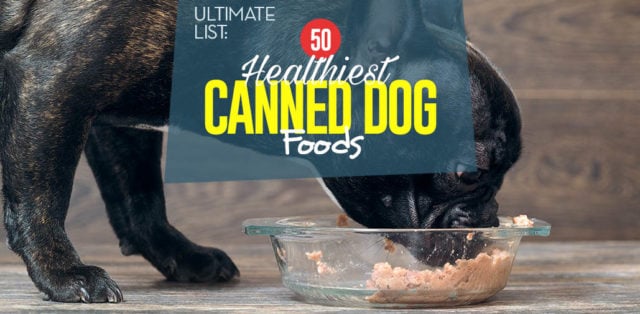 Top 50 Best Canned Dog Food